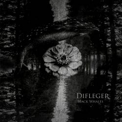 Difleger : Black Whales